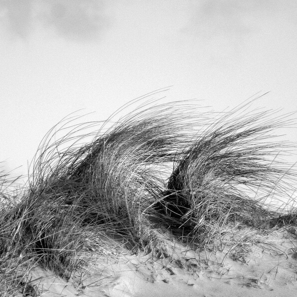 Urlaub 02.2004 Blavand 304